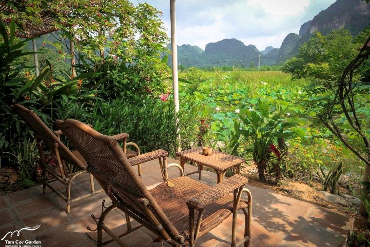 Premium Tonkin Garden Bungalow